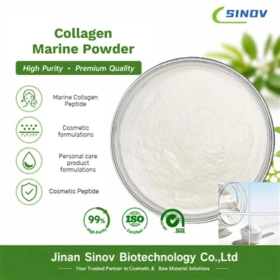 Bulk Collagen Marine Powder