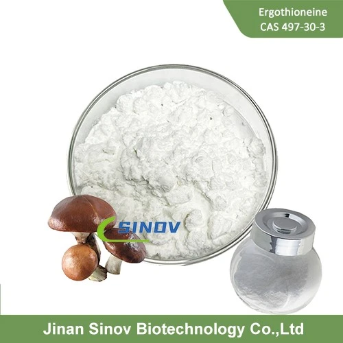 Anti-aging Ingredients Anti-aging Ingredients
