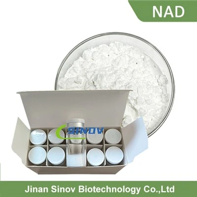 Anti-aging Ingredients Anti-aging Ingredients