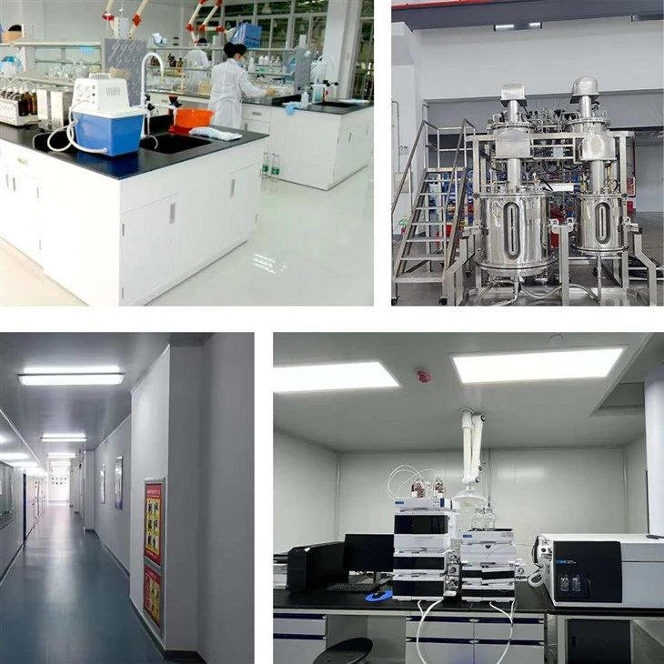 Spermine Dihydrate manufacturers