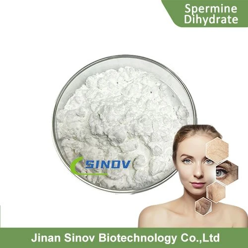 Spermine Dihydrate Powder